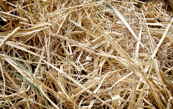 saman doku, arka plan, çiftlik iş