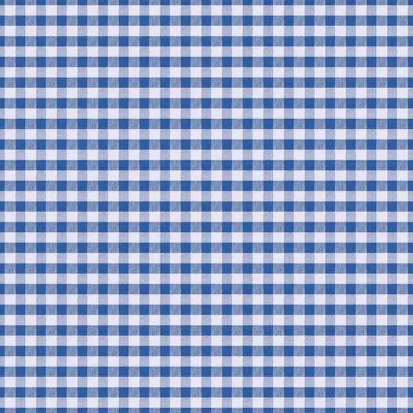 Seamless texture white fabric in blue cage, background for desig