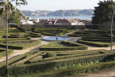 Botanik Bahçe Ajuda miydi bahar