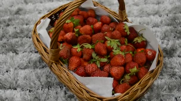 Erdbeeren im Korb — Stockvideo