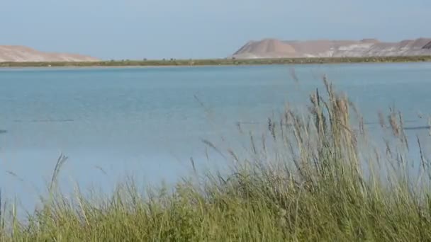 Naturaleza con río, lago y montaña . — Vídeo de stock