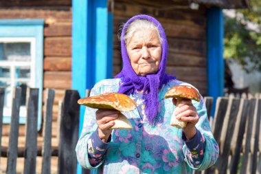 Yaşlı kadınla mantar onun elinde. Büyükanne köyde mantar toplar.