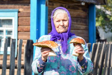 Yaşlı kadınla mantar onun elinde. Büyükanne köyde mantar toplar.