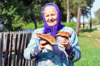 Yaşlı kadınla mantar onun elinde. Büyükanne köyde mantar toplar.