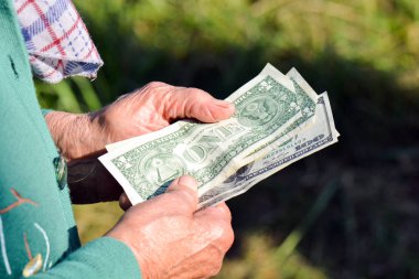 Yaşlı kadın para onun elinde tutuyor. Yaşlı bir kadın ile dolar onun elinde. Yoksulluk sadaka