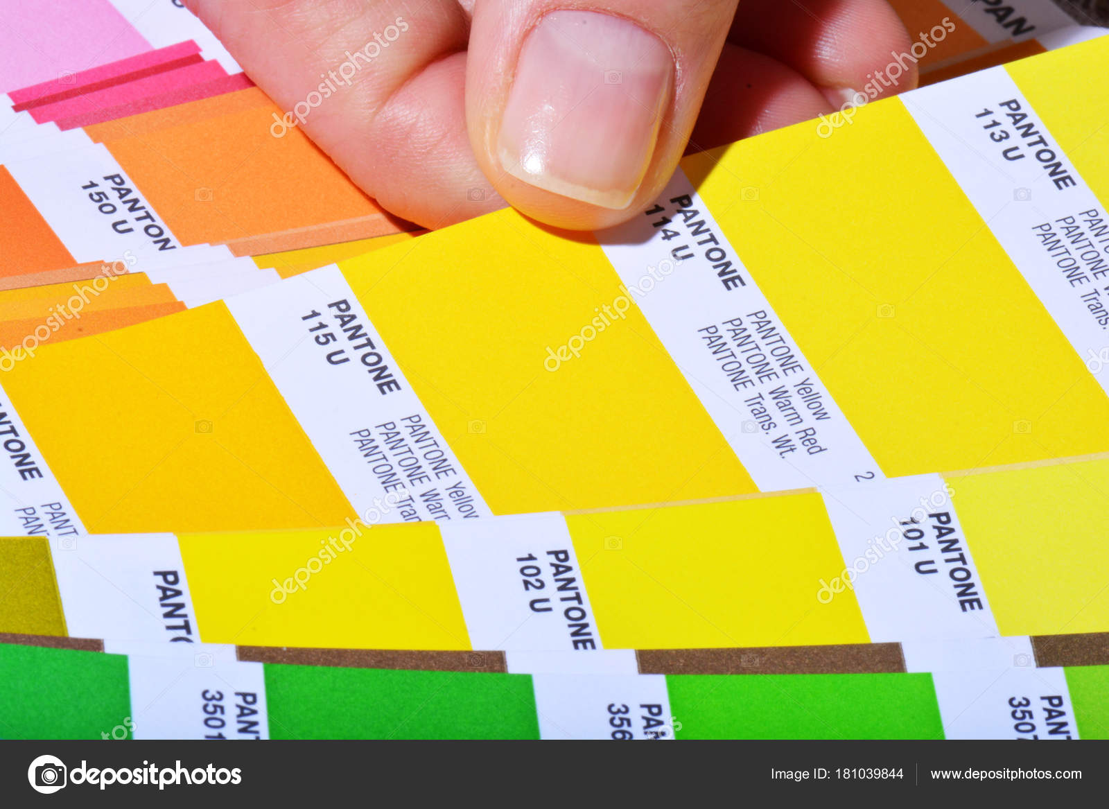 SCARICA PANTONE