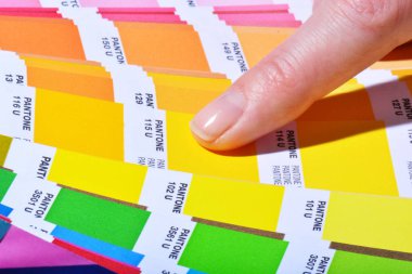 Renk paleti Pantone Kılavuzu kapatın. Renkli renk örneği kataloğu