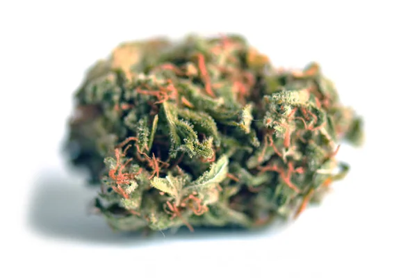 Medical marijuana bud isolated on white background. Therapeutic and medicinal cannabis weed — Stock Photo, Image