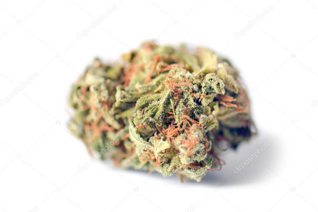 Medical marijuana bud isolated on white background. Therapeutic and medicinal cannabis weed