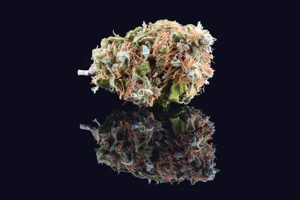 Brote de marihuana medicinal aislado sobre fondo negro. Primeros planos de marihuana terapéutica y medicinal — Foto de Stock