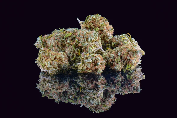 Medical marijuana bud isolated on black background. Therapeutic and medicinal cannabis weed with reflection close up — Stock Photo, Image