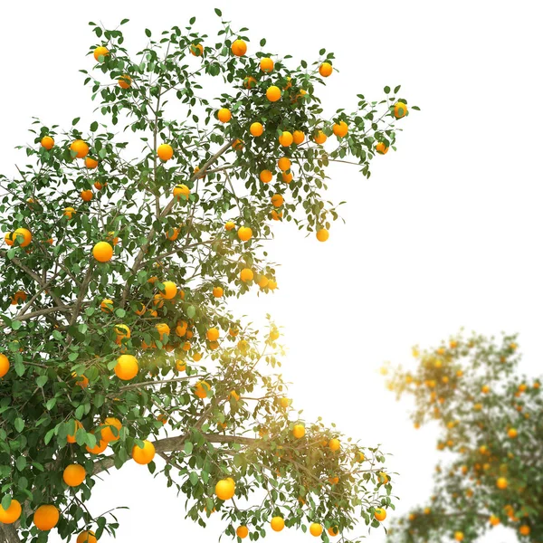 Arbre orange rendu 3d — Photo