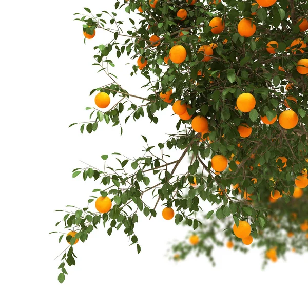 Rendering albero arancio 3d — Foto Stock