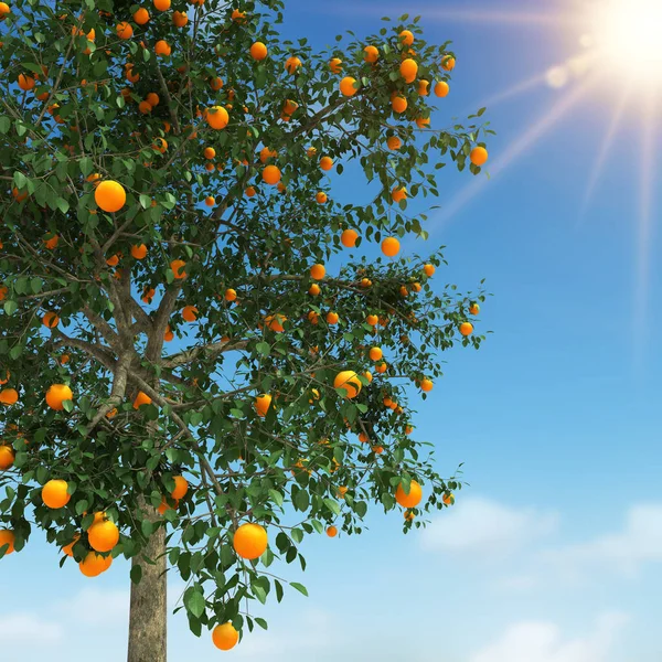 Rendering 3d pohon oranye — Stok Foto