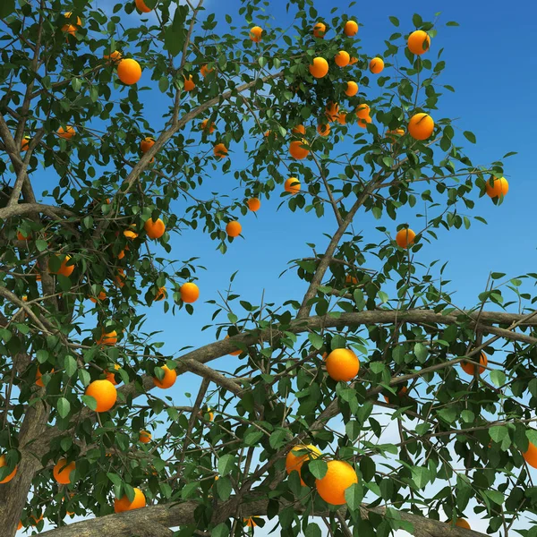 Arbre orange rendu 3d — Photo