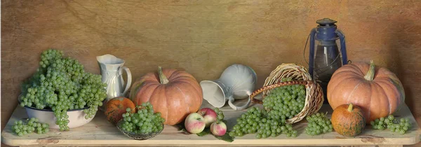 Panorama de outono de frutas, legumes e bagas  . — Fotografia de Stock