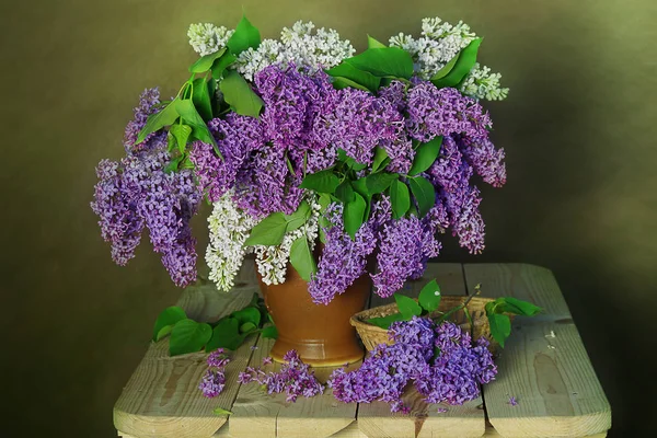 Buchet de liliac într-o vază pe un fundal verde  . — Fotografie, imagine de stoc