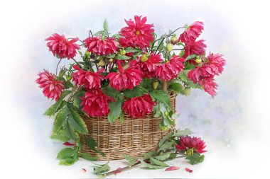 Beyaz arkaplanda çiçekler.