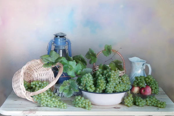 A colheita de uvas . — Fotografia de Stock