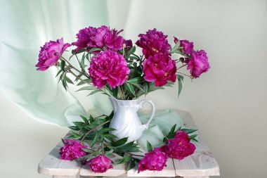 İzole vazo içinde pembe peonies