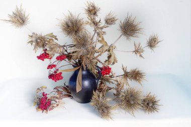 Natürmort kuru çiçekler ve kırmızı olgun meyveler ve karanlık kil ilginç vazolar.