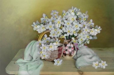 Nergis bir vazoda renkli arka plan üzerinde büyük bir buket. Bahar natürmort