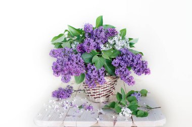 Leylak beyaz bir bahar natürmort üzerinde beyaz bir vazo içinde büyük bir buket