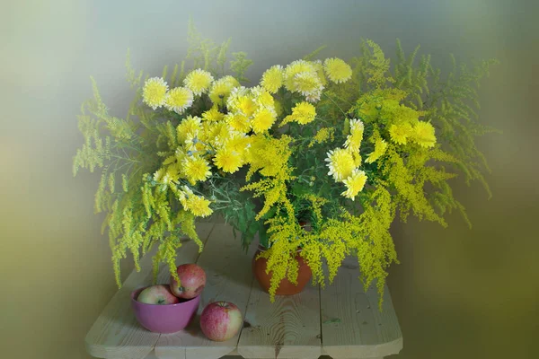 Bouquet of yellow chrysanthemums isolated on light yellow background.