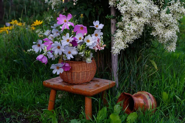 Frumoasă Compoziție Grădinărit Vară Buchet Flori Roșii Într Coș Răchită — Fotografie, imagine de stoc