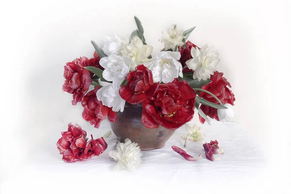 Still life with red poppies, white daffodils in a vase on a table on a white background