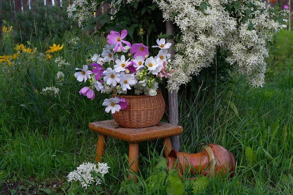 아름다운 정원가꾸기 정원에 바구니에 꽃다발 — 스톡 사진
