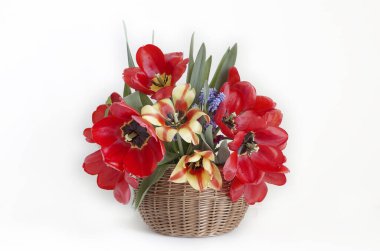 Kırmızı lalelerle sakin bir hayat. Çiçekler..