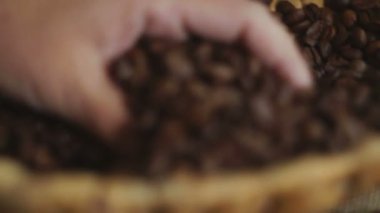 Bir avuç kahve çekirdeğini eline alan bir kadın.