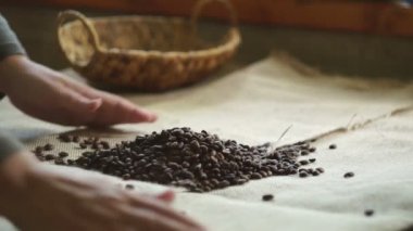 Kadın kavrulmuş kahve çekirdekleri toplar