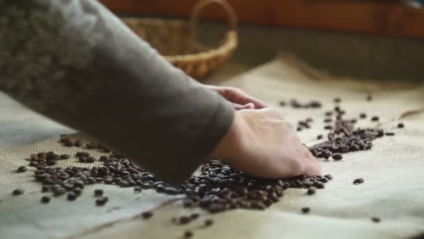 Mulher coleta grãos de café torrados — Vídeo de Stock