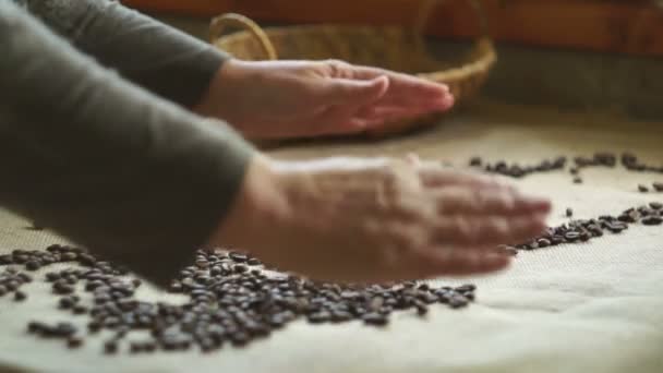 Vrouw verzamelt gebrande koffiebonen — Stockvideo