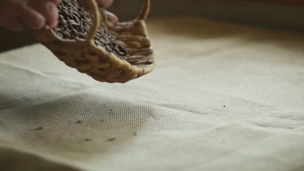 Кофейные зерна, вываливающиеся из корзины . — стоковое видео