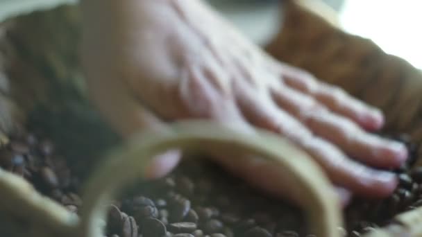 Nő szedés megjelöl-ban tenyér-ból egy maroknyi kávé tű hegység — Stock videók