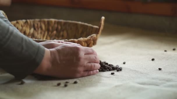 Vrouw zet de koffiebonen in de mand. — Stockvideo