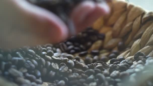 Woman picking up in the palm of a handful of coffee bens — Stock Video