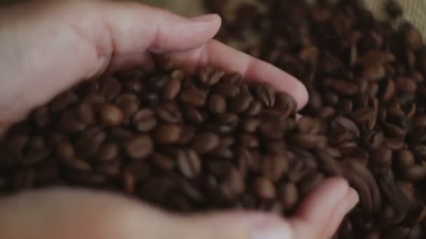 A mulher põe os grãos de café no cesto. Close-up — Vídeo de Stock