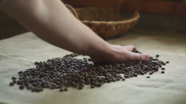 Grains de café torréfiés sur la table — Video