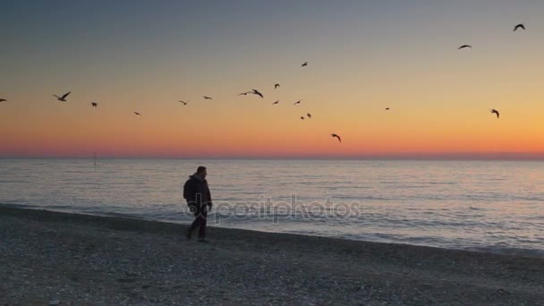 Чоловік на пляжі дивиться захід сонця — стокове відео