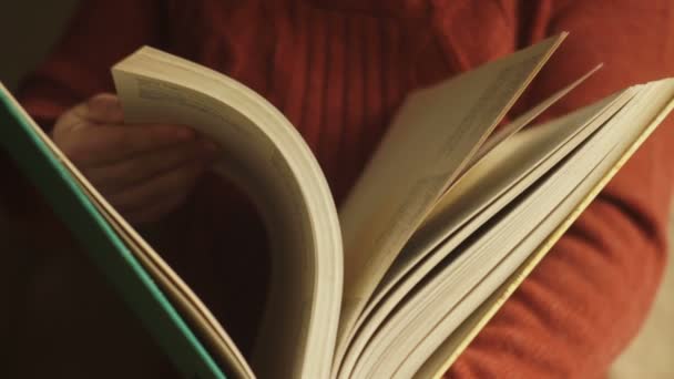 Le livre est une grande taille dans une main humaine — Video