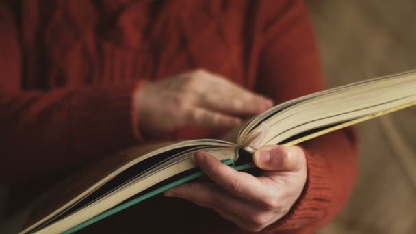 Boken är en stor storlek i en mänsklig hand — Stockvideo