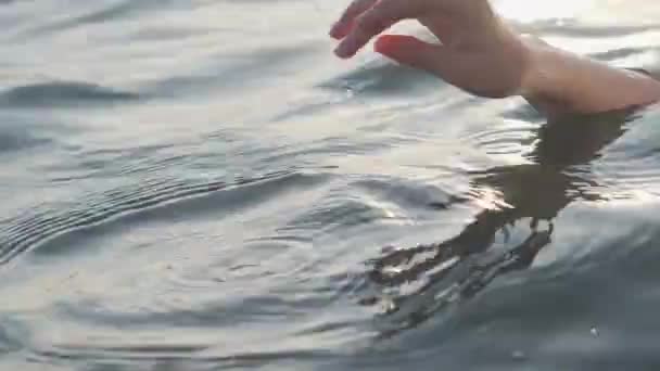 Kvinnlig hand lekfullt och försiktigt vidrör havsytan i bländning av solen vid solnedgången, Närbild, — Stockvideo