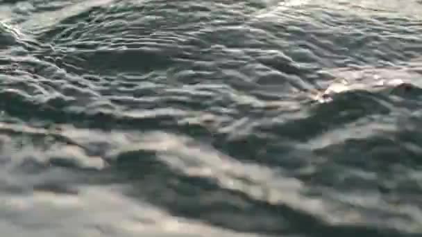 Gros plan, éclaboussures d'eau, brillance, éblouissement du soleil à la surface de la mer, coucher de soleil sur la mer — Video