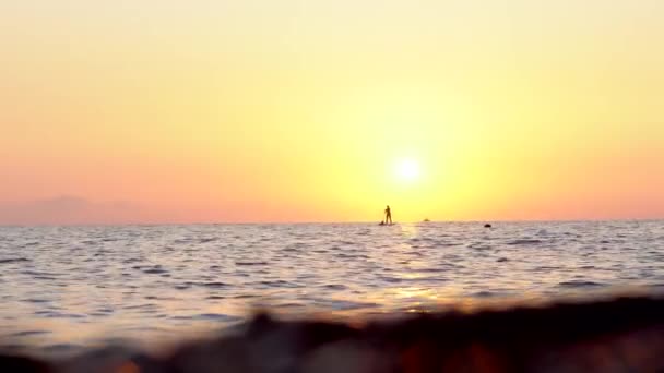 Sörfçü kadın günbatımının arka planına karşı bir tahtada duruyor. Çekimin sonunda, dalga lense çarpıyor. — Stok video