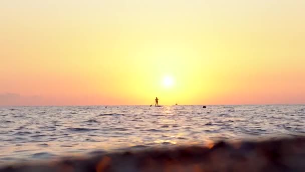 À l'horizon, une surfeuse se tient sur une planche et pagaie sur un fond de coucher de soleil — Video