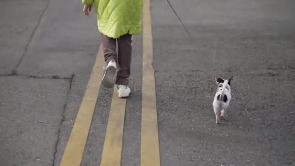 Flicka springer med sin hund chihuahua på stadens trottoar — Stockvideo